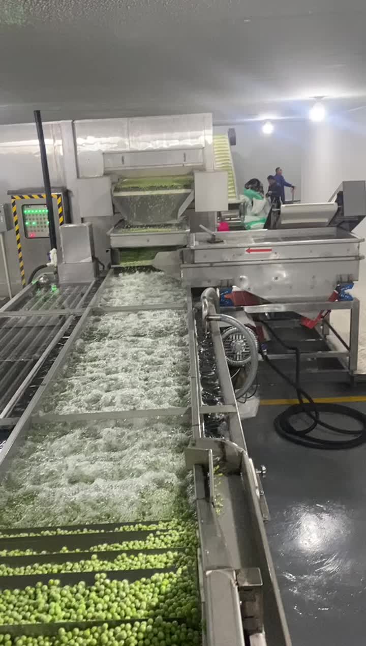 IQF peas production line 2 glazing