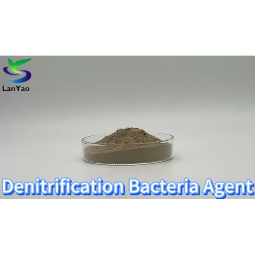 Denitrification Bacteria Agent
