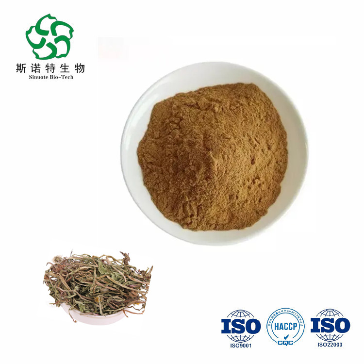 ISO Certified Dandelion leaf and flower extract