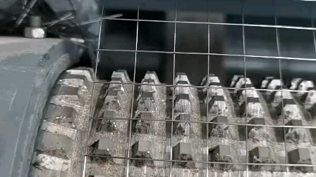 Mesh filo saldato galvanizzato YQ per i pollici da riproduzione1