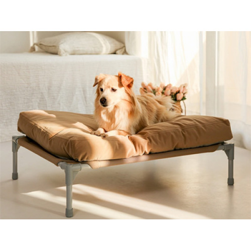 2026 Global Pet Sofa Market Booms: Humanization, Sustainability and Functionality Reshape Pet Lifestyle