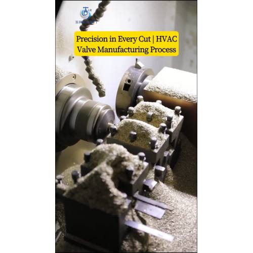 ae48602486036f6cf23569d6bb2b1166