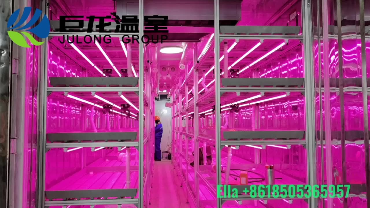 40ft shipping container farm Plant factory with hydroponic systems for lettuce1