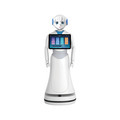 Professional Robot Factory: Secondary Development of Alice Reception Commercial Service Robot1
