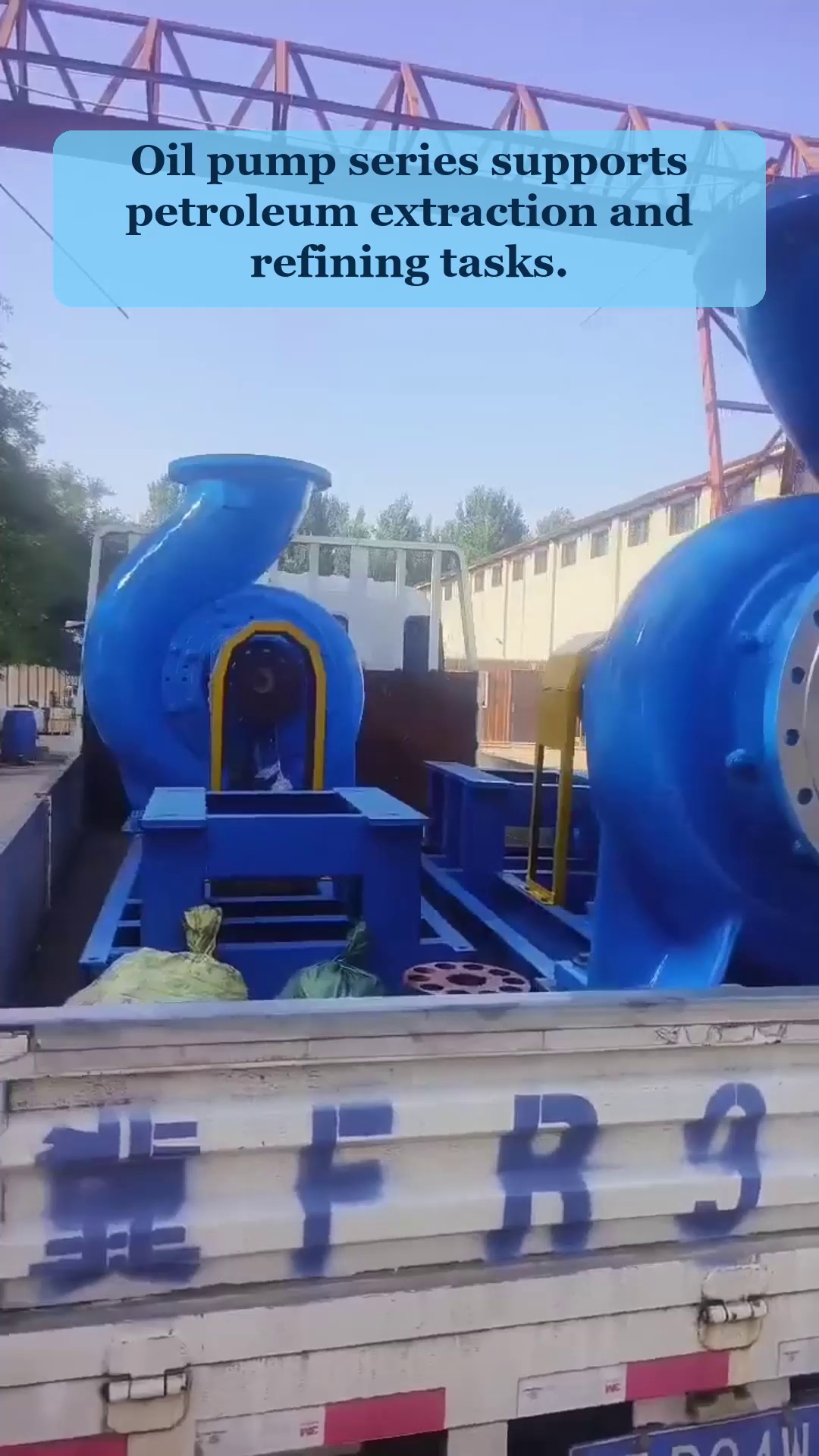 Video 19