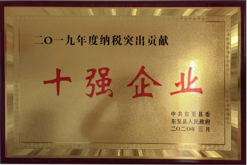 Top Ten Enterprises