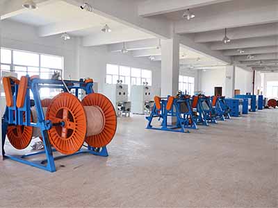 Shandong Shinegoo Group