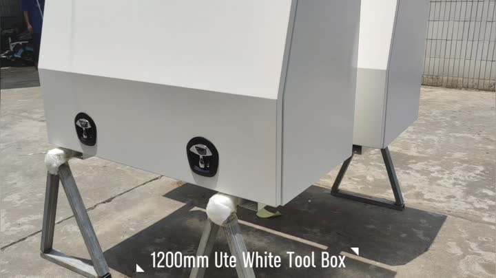 1200 Ute White Tool Box