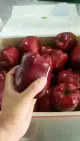 8cm Size Red Star Huaniu Apples Harga Buah-buahan