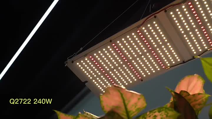 240W LED wachsen Licht (2)