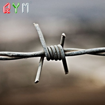 Ten Chinese Meter Barbed Wire Suppliers Popular in European and American Countries