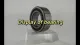 R Series Deep Groove Ball Bearing R8