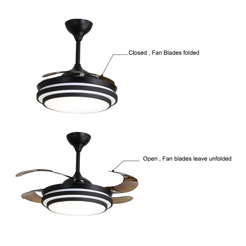 How to choose the best ceiling fan light