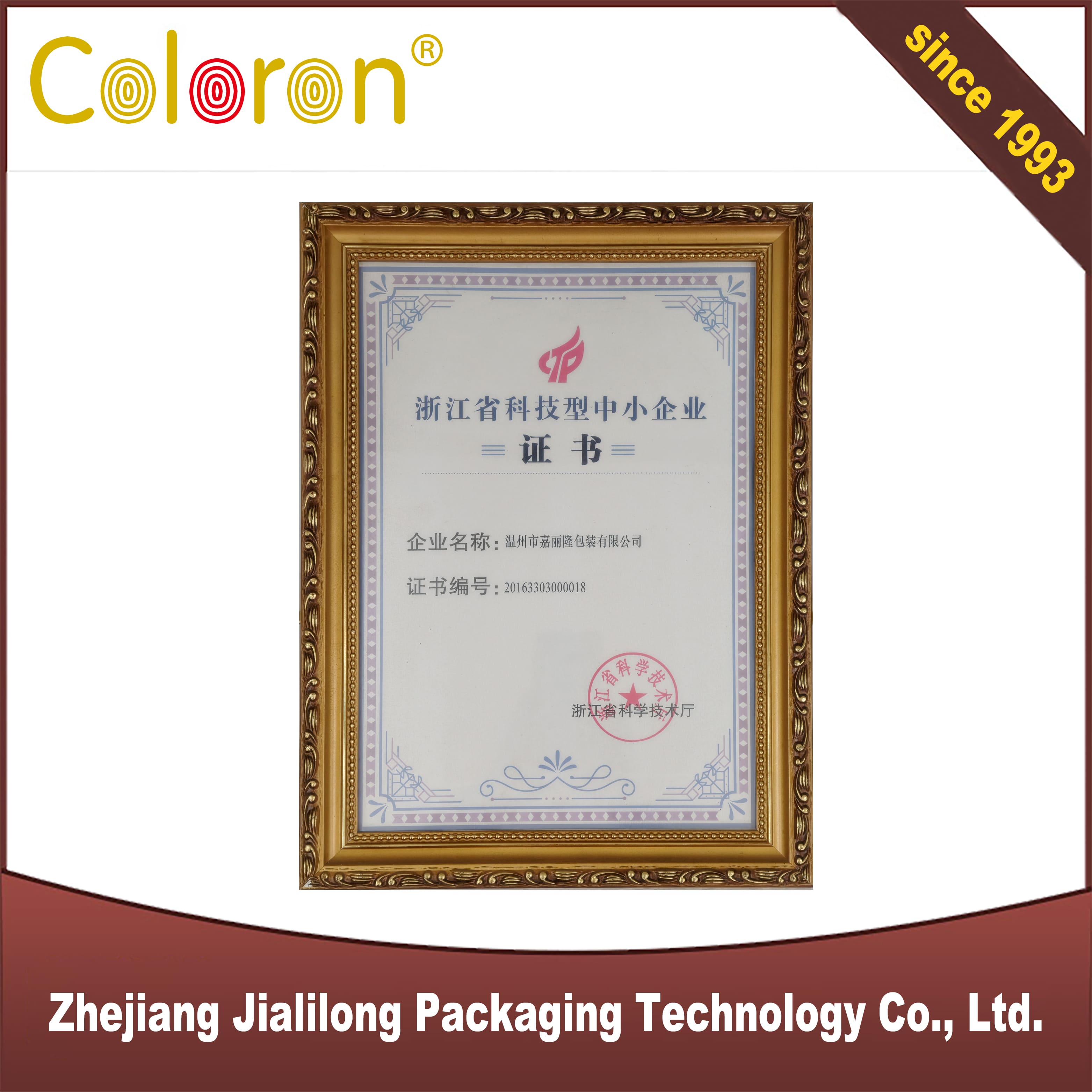 Zhejiang Province Science and Technology Small and Medium sized Enterprise Certificate