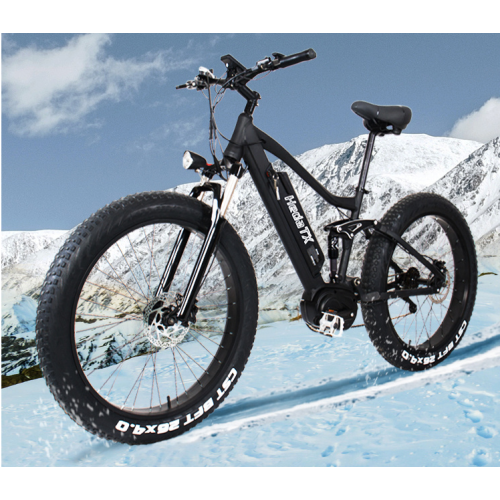 Riding the Electric Fat Tire Bike in Different Scenarios