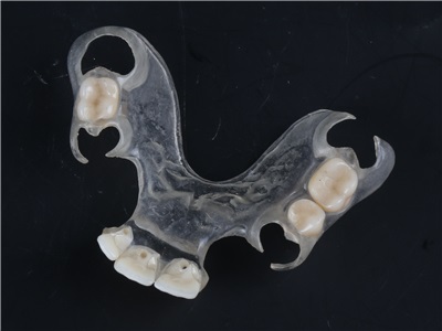 Mega Dental Lab