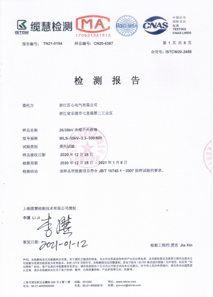 Inspection Report