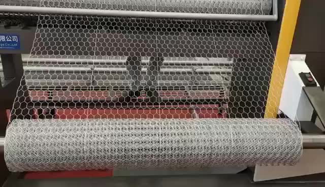 Fornitura di fabbrica Mesh /rete esagonale per filo di pollo Galvanizzato /PVC rivestito1