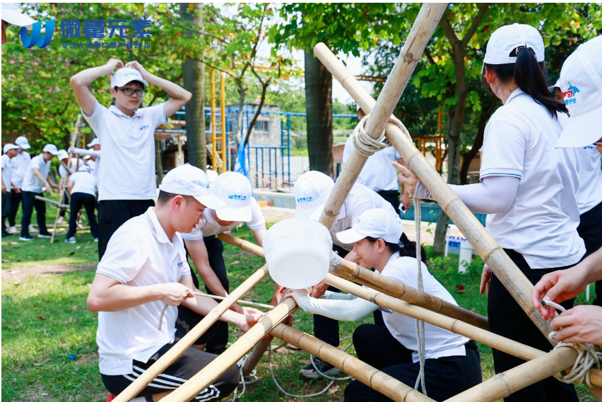 Company Team