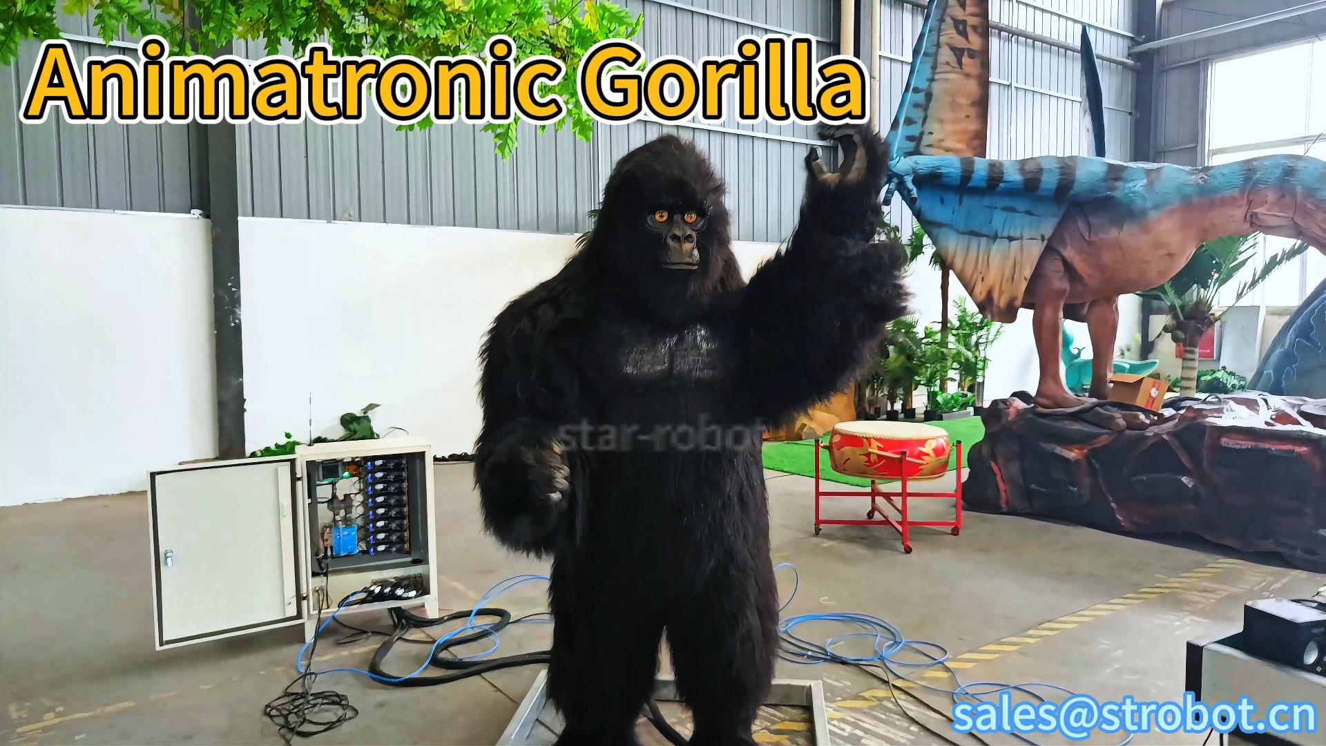 Gorilla hoạt hình
