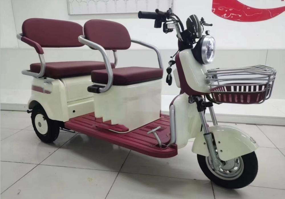 Manned Small Leisure Electric Tricycle