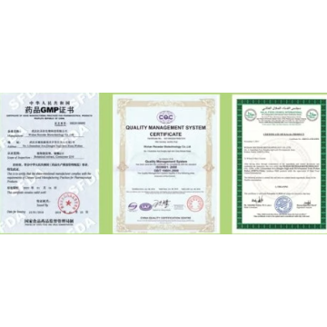  letters patent