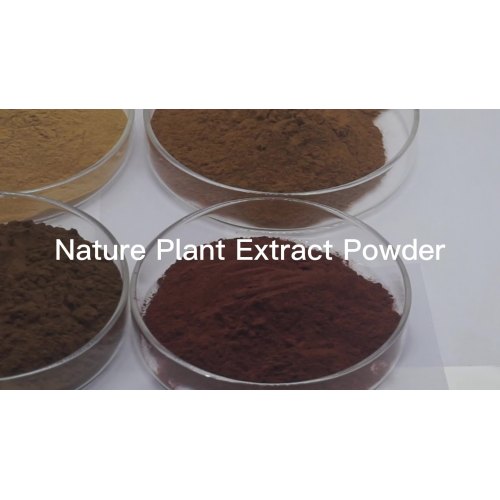 Organic Walnut Powder 