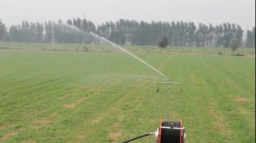 hose reel sprinkling 1
