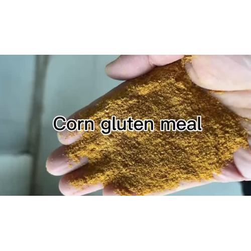 Corn Gluten Meal 60%