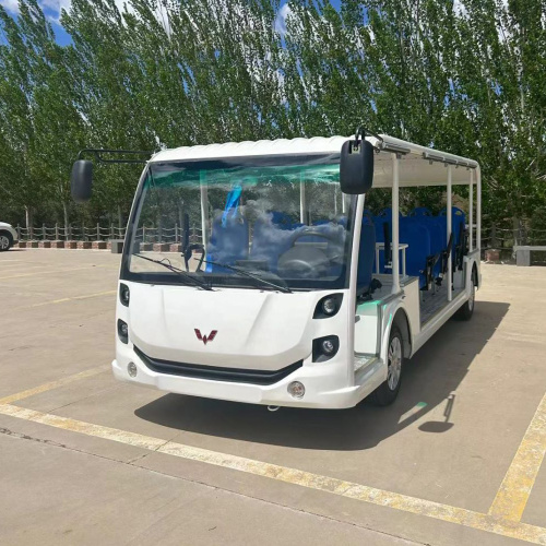 Is a newer Sightseeing Bus style always better?