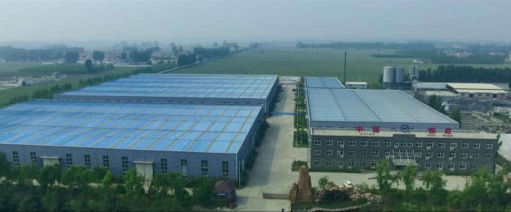 Shandong Hengwang Group Co., Ltd