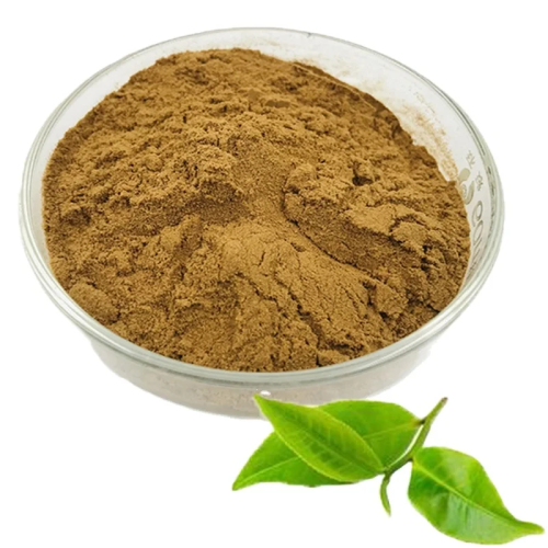 How To Make Green Tea Extract?