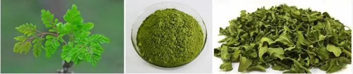 SOST Biotech EU Organic Moringa Leaf Powder Price