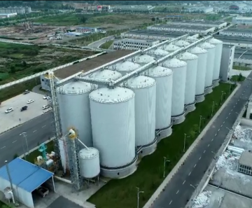 Qingke Barley Liquor
