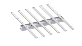 Promotion 600W Wachsen Licht 6Bar