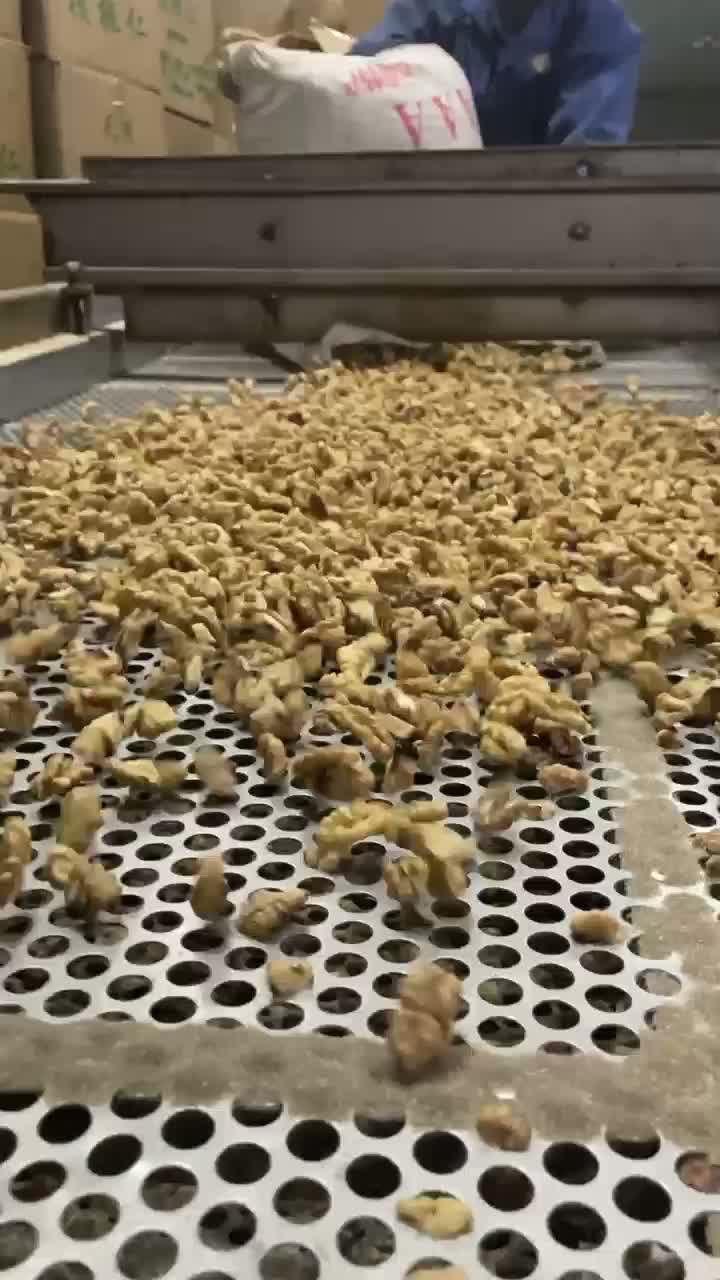 classificação de miolo de noz