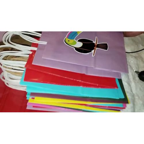 Nicro Free Design Customized Logo Size Printing Advertisement Craft Paper Shopping Gift Bag 