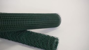 Custom Color PVC Coated Welded Wire Mesh Roll Hot Sale1