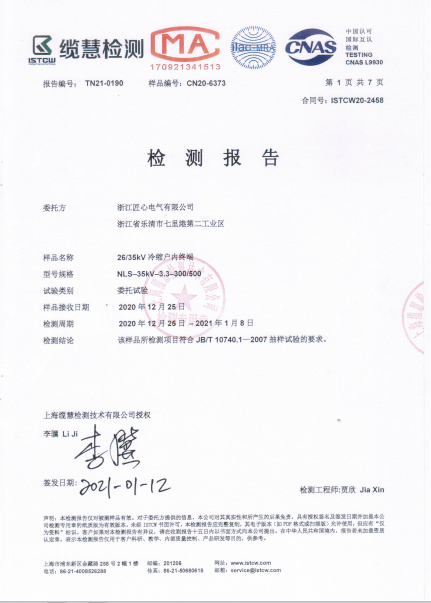 Inspection Report