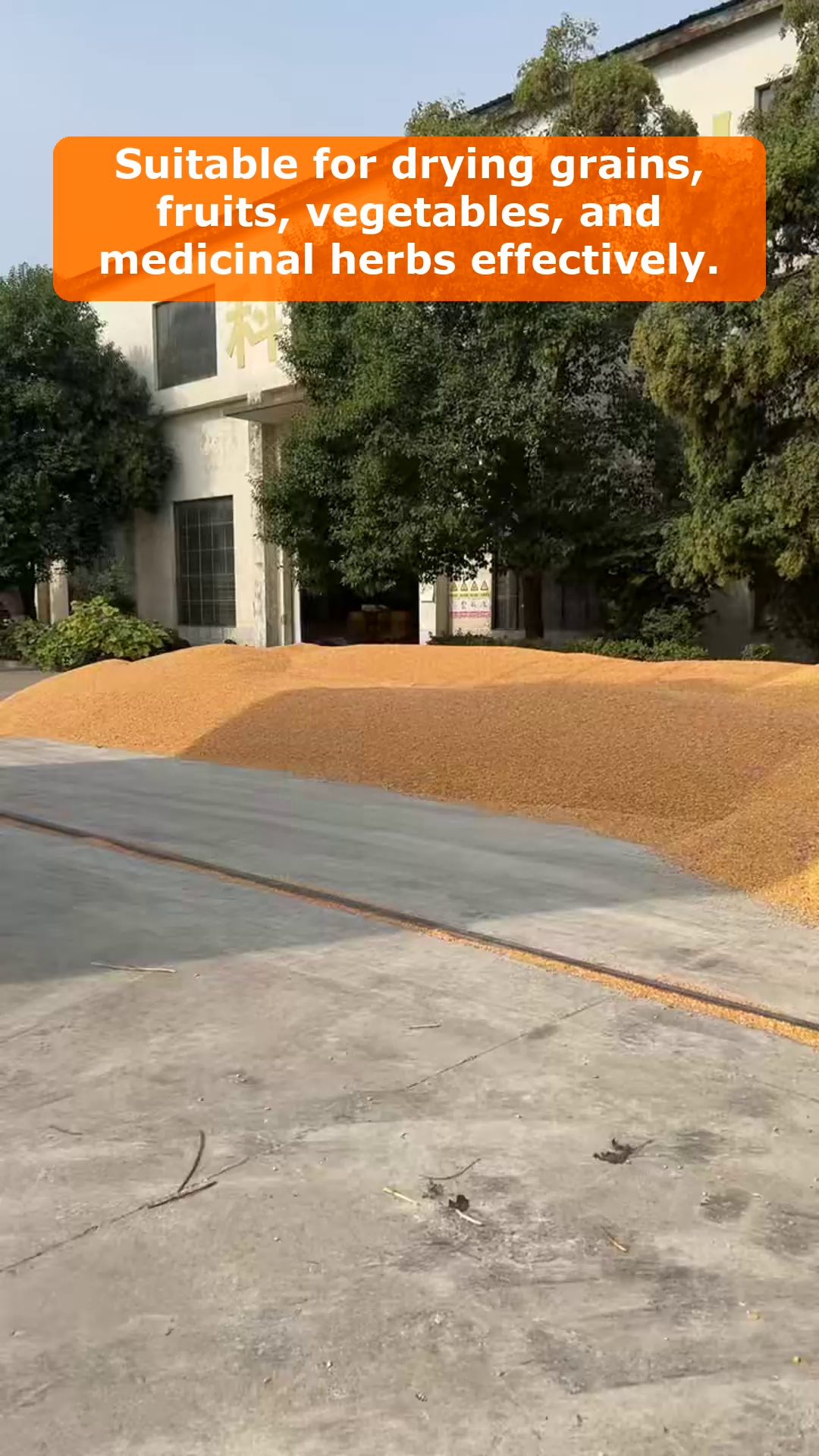 Vidéo 62