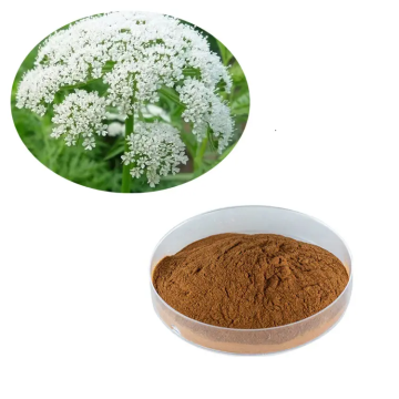 The Medicinal Value of Natural Plant Extract Cnidium Monnieri Oil
