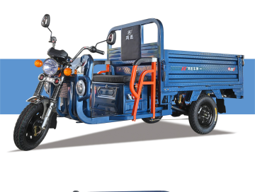 zhanba cargo electric vehicle