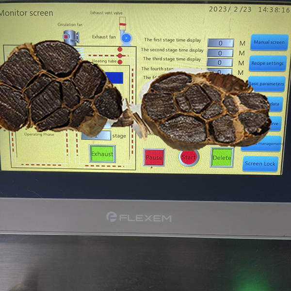 Black Garlic Machine Plc Control