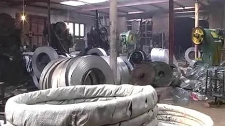 Filo spinato in acciaio inossidabile a doppio filo zincato 1