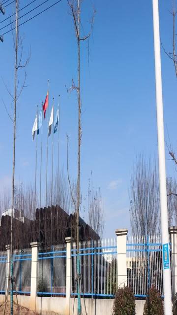 A Glimpse of Excellence: Advanced Pipe Manufacturing Campus