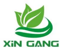 Xingang
