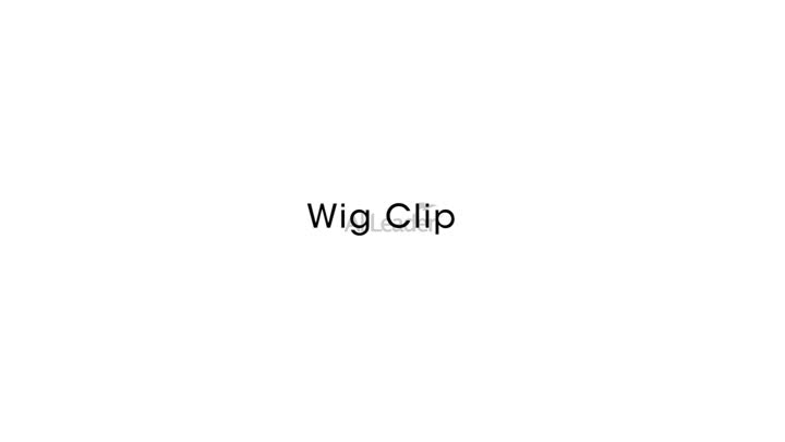 mga wig clip