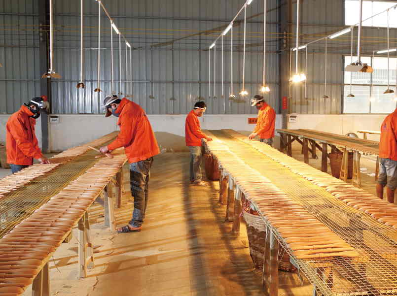 YangDong Q-Bamboo Houseware Co.,Limited