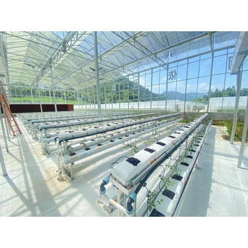Proyecto de invernadero de vidrio Pengshui artesanal de Qingcheng Agriculture: parque industrial de cultivo sin suelo inaugurado y operativo