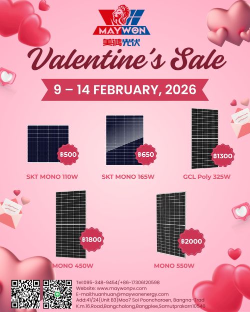 Oferta de San Valentín de Maywon: ¡Brilla con amor, sé ecológico con ofertas inmejorables!